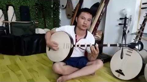 Test Đàn Nguyệt Chầu Văn - gỗ Mun.