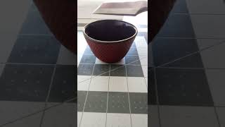 Ironcup Wooden Cup Base. Tool Prep.