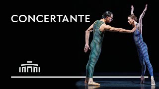 Download Lagu Pas de deux from Concertante by Hans van Manen | Dutch National Ballet MP3