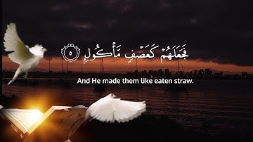 Surah Al-Fil  (سورة الفيل) 3 times. A surah which say about an Elephant and flock of birds.