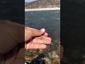 Found in riverside trash #goldcollector #golddiscovery #goldhunt #goldfind #travel #treasurehunt