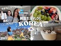【韓国生活vlog】全部消えました。全てを失くした日/ソウルの可愛いショップ/気分転換に爆買い
