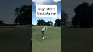 PITCH Shot to elevated green⛳️ | Tough shot #golf