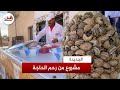 مواطن يقرر تربية الحلزون البري لمواجهة خطر انقراضه من الطبيعة