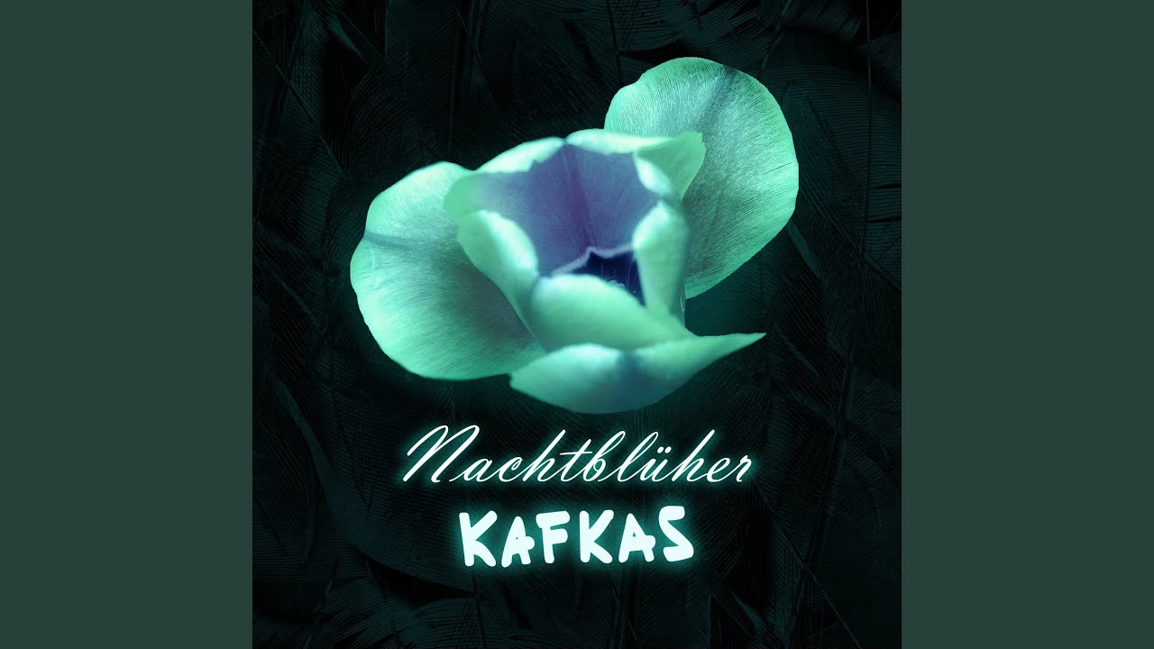 Nachtblüher adlı videoyu YouTube'da izle Nachtblüher adlı videoyu YouTube'da izle