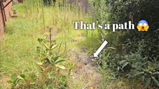 NEGLECTED for MONTHS! Overgrown lawn, path reveal and more - part 2 of 2.