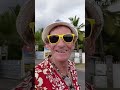 mon Expo sauvage  27.01.2026 après être je tais de boucan canot me voilà a st Gilles Réunion 🇷🇪 🌻 🕊