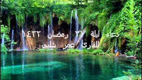 دعاء ليلة 21 رمضان 1432 للقارئ عمر شلبى.wmv