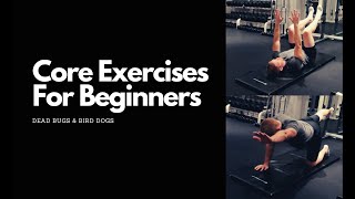 Core Exercises For Beginners - Dead Bugs & Bird Dogs | Mike Sheridan