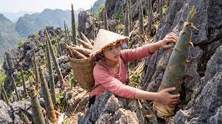 Harvesting Over 400kg of Giant Bamboo Shoots to Sell at the Market Update