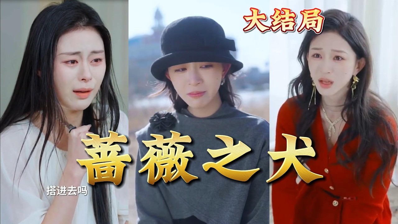 全集完结《蔷薇之犬》：都市玄幻热血爽剧，高清神作！