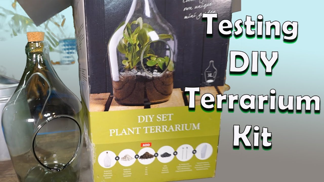 DIY Terrarium Supplies - O'Donal's Nursery