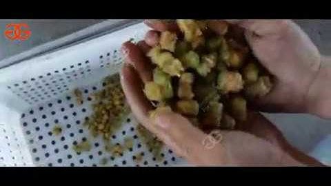 Automatic Plum Stone Removing Machine|Plum Stone Removing Machine Manufacturer