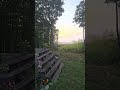 Nature's Canvas: A Morning Masterpiece