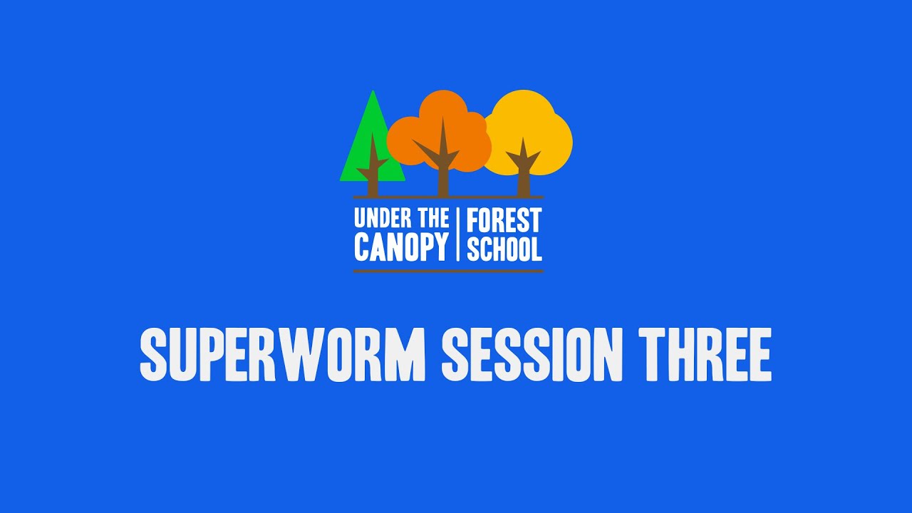 Superworm 3 the Wizard Lizard makes Superworm look for treasure YouTube