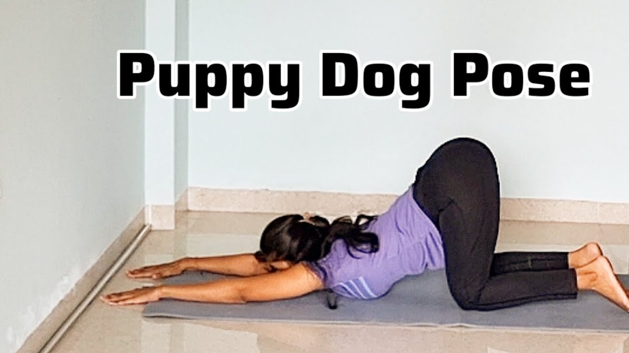 How To Do Puppy Dog Pose Uttana Shishosana Shashankasana Variations How To Do Puppy Dog Pose Uttana Shishosana Shashankasana Variations