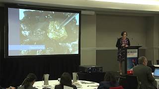 Future ready organisations risk management and resilience