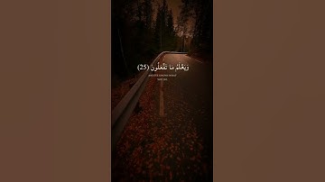(وَهُوَ الَّذِي يَقْبَلُ التَّوْبَةَ عَنْ عِبَادِهِ)#سورة_الشورى #الحصري