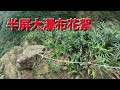 半屏大瀑布花絮2-1 #小錐麓古道 #劍龍稜 #鋸齒稜 #半屏山 #黃金瀑布 #beautiful #natural #travel #drone #explore #travel