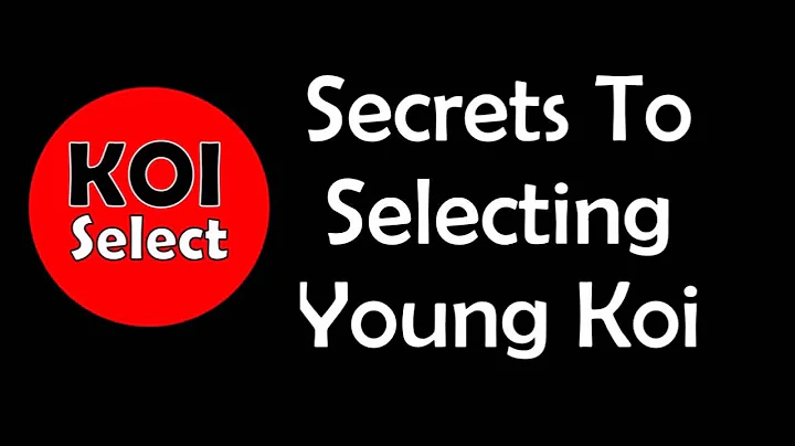 Secrets To Selecting Young Koi