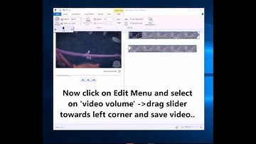 How to remove audio and sound from a video using Microsoft Windows Movie Maker | Mute audio