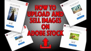 How to Upload and Sell Images on Adobe Stock
