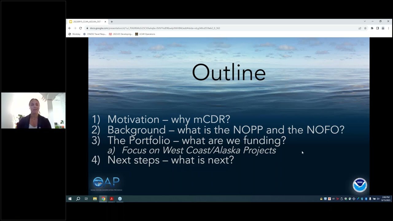 A tour of newly funded marine carbon dioxide removal mCDR projects