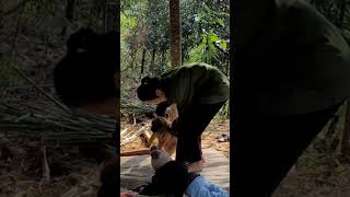#bamboo #pupy #dog #baby #singlemom @hongcucsinglemom #nature #life #livewhitnature