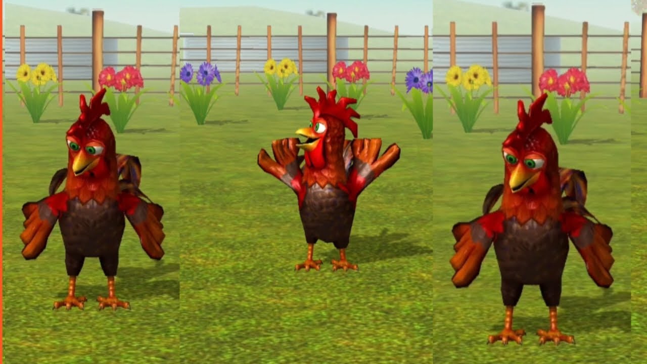 Rooster's dance pollito pio 3D y tractor vs bull.