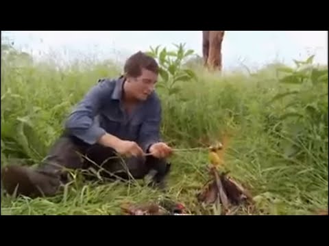 วีดีโอ: วิธีเอาตัวรอดในป่าเมือง