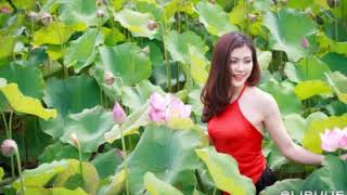 Minh Anh