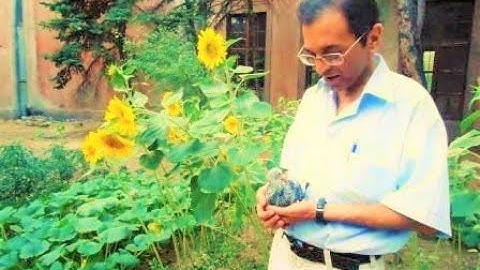 Bilgisayar Programlama Ders 3 - Algoritma Tasarımına Giriş