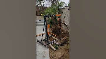 how to take a tree stump out with an engine hoist