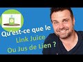 Quest ce que le jus de lien ou link juice  romuald paris