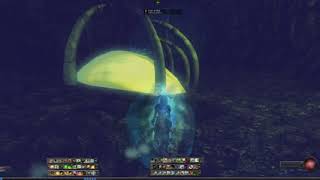 DDO: Lost At Sea; Wide Screen Test 5120x1440