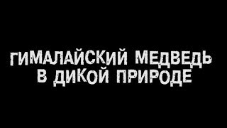 Это случилось на одной из рыбалок...