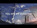 JOHNNY CASH-You Are My Sunshine//SubEspañol//