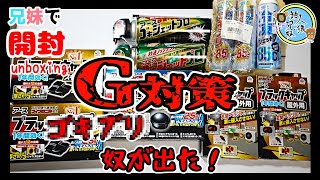 【G対策】ブラックキャップ　ゴキジェットプロ　超凍止ジェット　冷凍ジェット　【ゴキブリ】