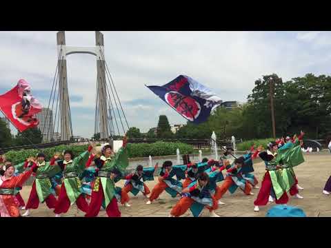 大江戸ソーラン2017YOSAKOI舞ちはらSURVIVE第二会場