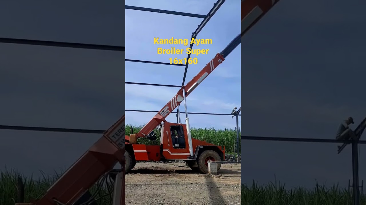 Kandang ayam "Close House" super 16 x 160 meter, 