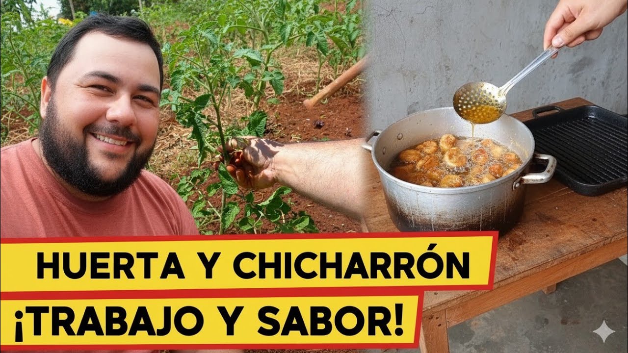 Cómo hacer chicharrón y plantar verduras? Hoy hacemos dos en uno