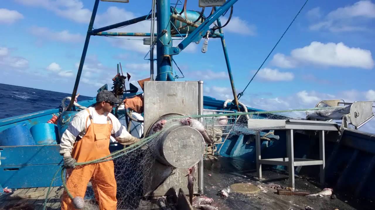 Em alto mar !!! Pesca do bacalhau - YouTube