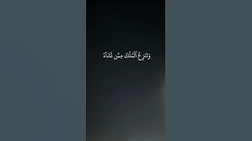 فكيف إذا جمعناهم ليوم لا ريب فيه / القارئ محمد الفقيه