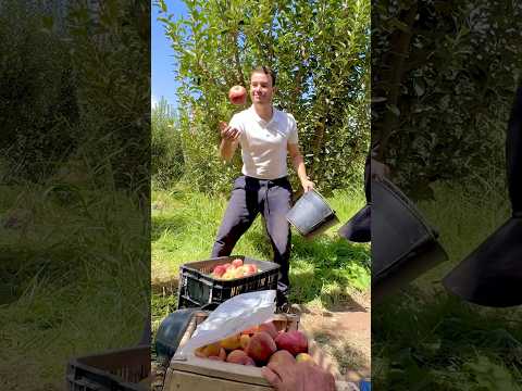 Ya Lmima Driss boumia دريس بومية 🍏🍎 (officiel music)