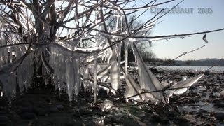 Eiszauber am Rhein bei Bislich (Niederrhein)