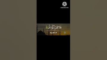 سورة فاطر . الشيخ ياسر الدوسري