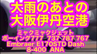 ライブ　大阪伊丹空港　 2024/6/18　OSAKA ITAMI Airport　ライブカメラ