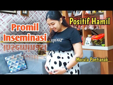 CERITA PROSES INSEMINASI