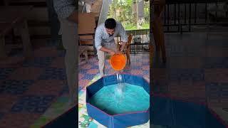 Surprise Gift   Mallu Malu psychoaliyanz mallumalu shorts surprisegift family couplevlog