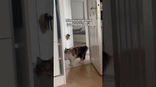 Kandırdı Beni 😂